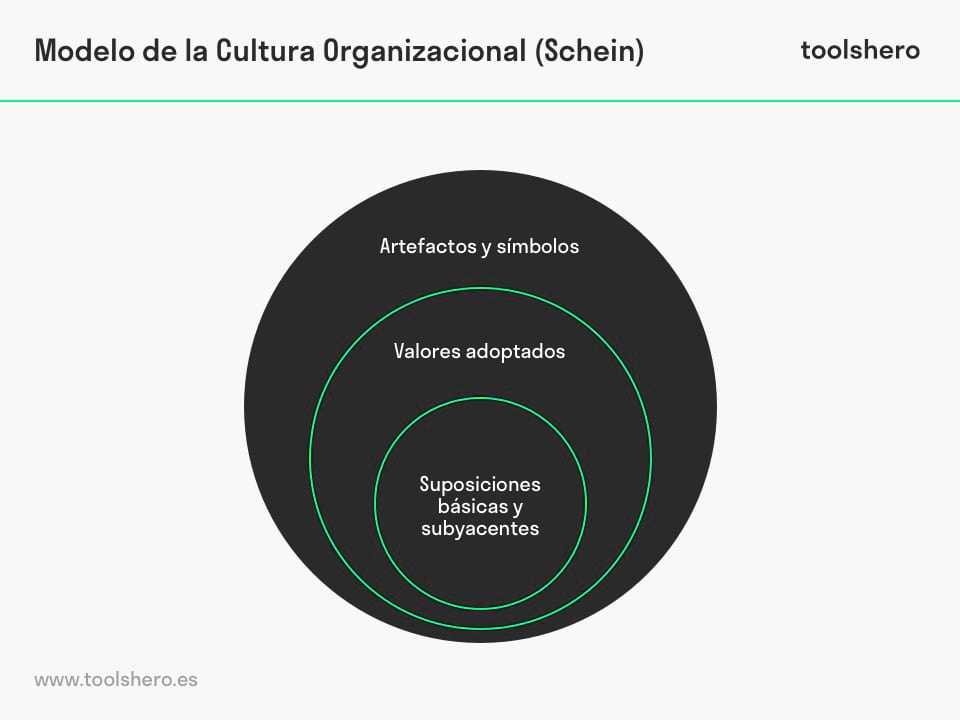modelo de la cultura organizacional schein - Toolshero